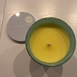 Sand and Paws candle deodorizer.